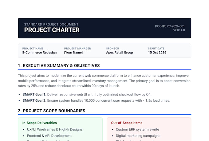 provide professional project managent